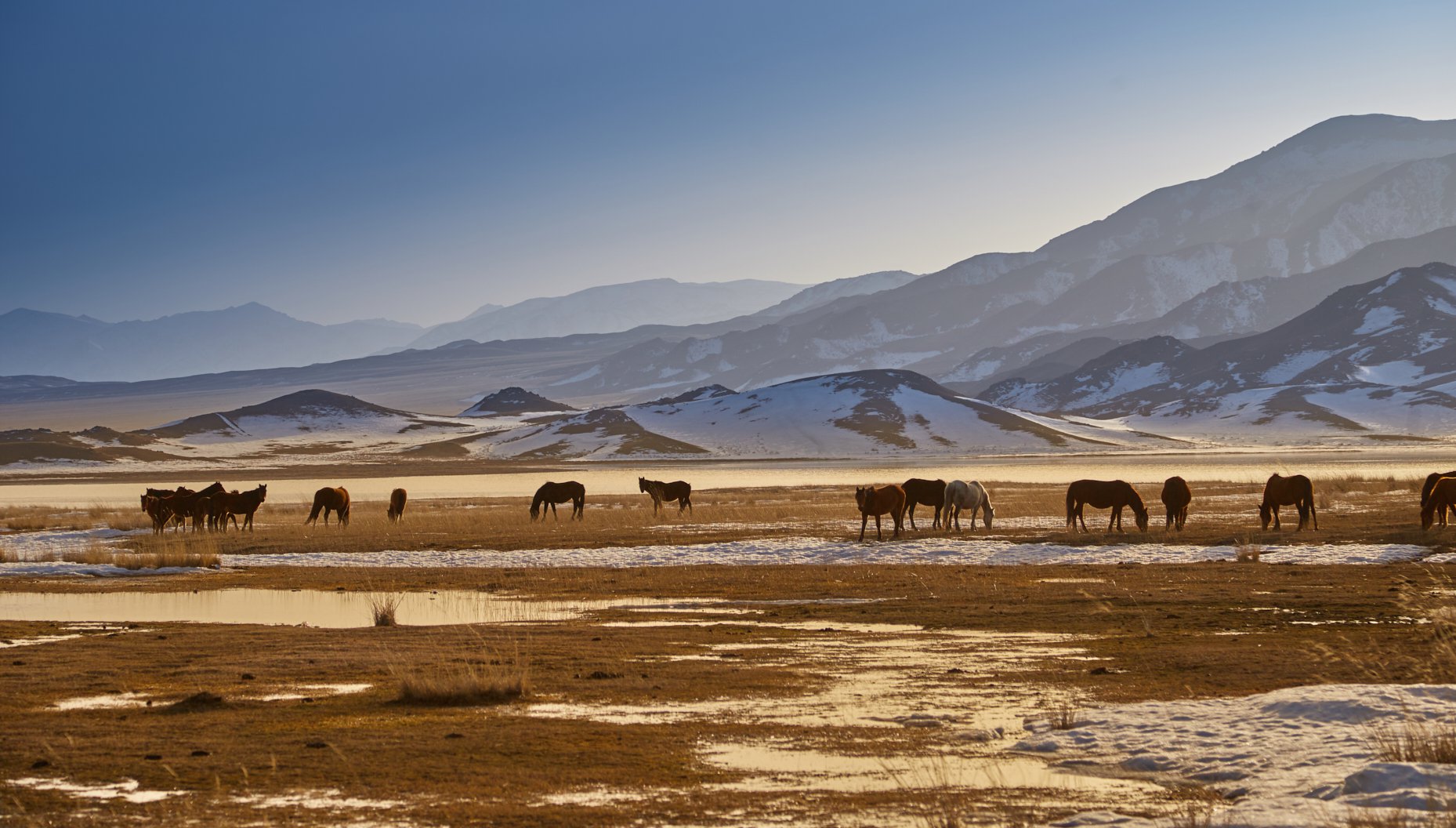 Kazakh Steppes